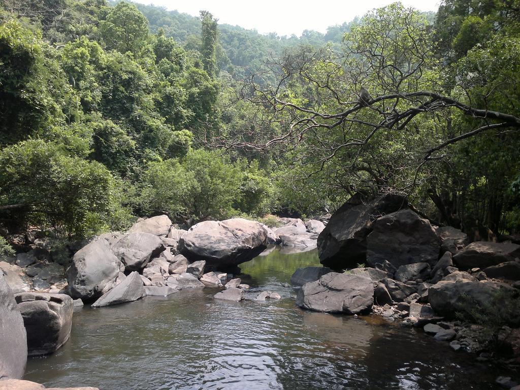 Dudhsagar Plantation Villa Cormonem Екстериор снимка