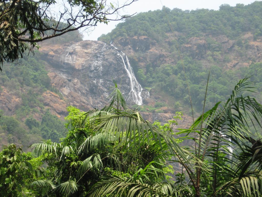 Dudhsagar Plantation Villa Cormonem Екстериор снимка